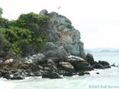 Enlarge photo 11