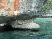 Enlarge photo 25