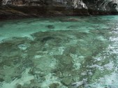 Enlarge photo 26