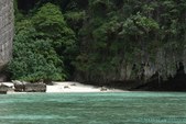 Enlarge photo 36