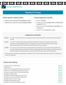 Enlarge PDF 3