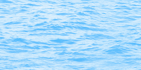Enlarge photo 40