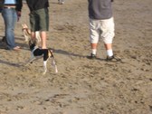 Enlarge photo 19