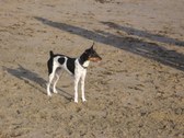 Enlarge photo 37