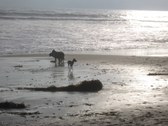 Enlarge photo 39