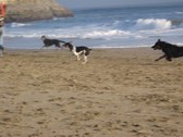 Enlarge photo 38