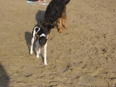 Enlarge photo 28