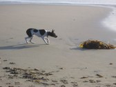 Enlarge photo 13