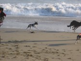 Enlarge photo 18