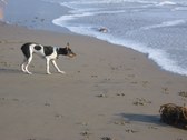 Enlarge photo 17
