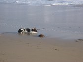 Enlarge photo 36