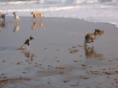 Enlarge photo 23