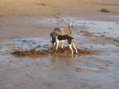 Enlarge photo 26