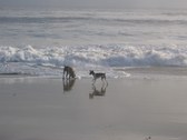 7 Months - A Day at The Beach