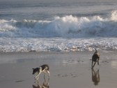 Enlarge photo 27