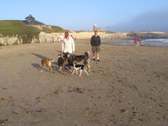 Enlarge photo 34