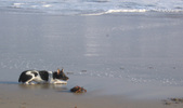 Enlarge photo 2