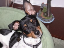 Bodie Growing Up