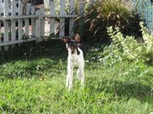 Enlarge photo 41