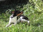 Enlarge photo 32