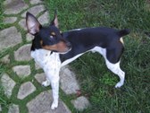Enlarge photo 12