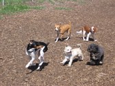 Enlarge photo 29