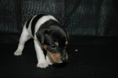 Enlarge photo 14