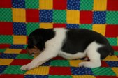 Enlarge photo 16
