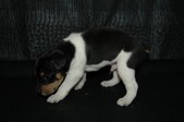 Enlarge photo 13
