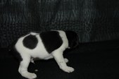 Enlarge photo 15