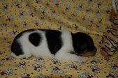 Enlarge photo 21