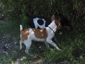 Enlarge photo 11
