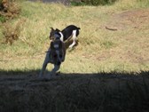 Enlarge photo 20