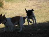 Enlarge photo 21