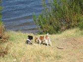 Enlarge photo 24