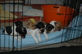 Enlarge photo 28