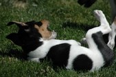 Enlarge photo 13