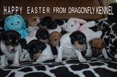 Enlarge photo 27