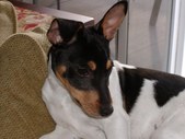 Enlarge photo 33