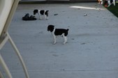 Enlarge photo 21
