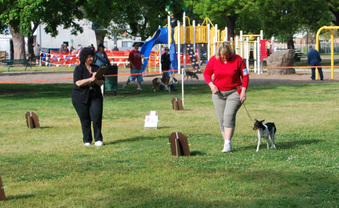 Rally Obedience