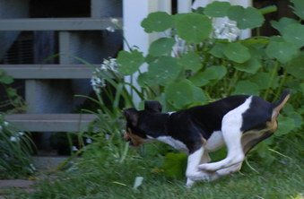 Enlarge photo 99