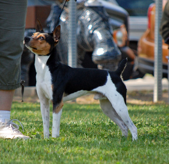 Enlarge photo 15