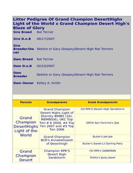 Enlarge HTML Document 120