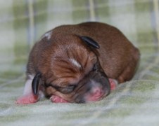 Enlarge photo 7