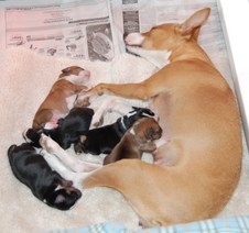 Enlarge photo 14
