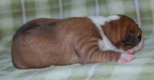 Enlarge photo 3