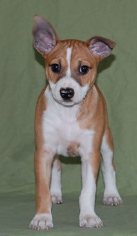 Enlarge photo 2