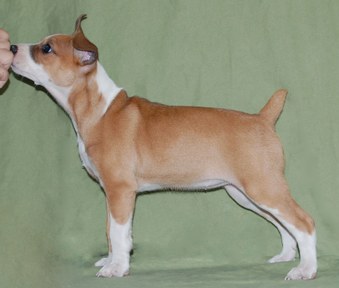 Joy Unspeakable - Eight Weeks