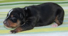 Enlarge photo 5